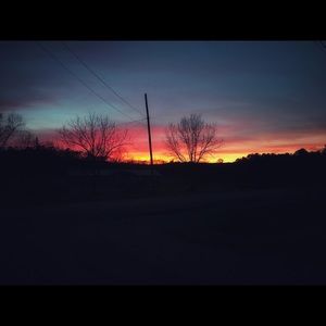 Meet your Posher, Payton